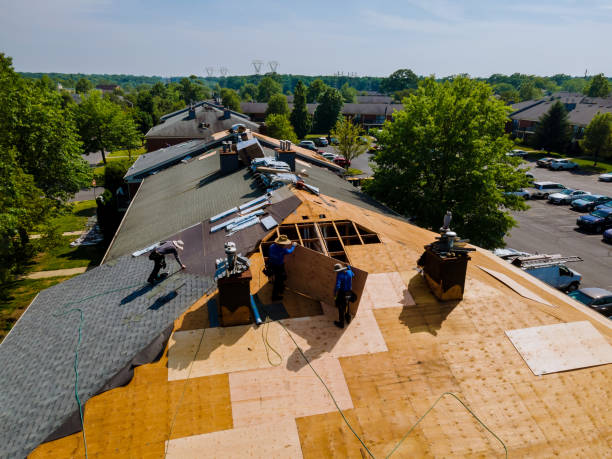 Best Roof Repair Services  in Eastwood, MI