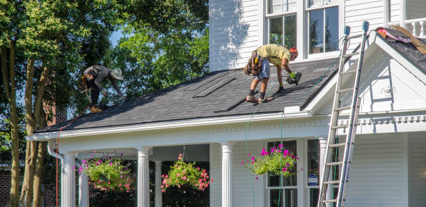 Professional Roofing Contractor in Eastwood, MI