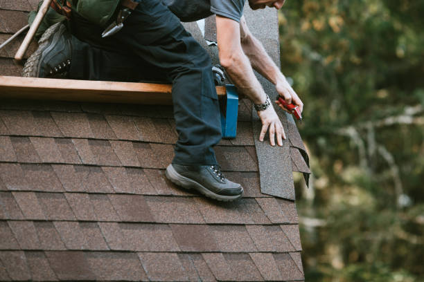 Roof Waterproofing Services in Eastwood, MI